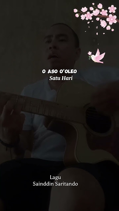 Lagu Modern Tolaki #sainuddin #viral #saritandoofficial #originalsong #fypシ