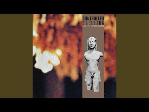 Controlled Bleeding — The Vigil
