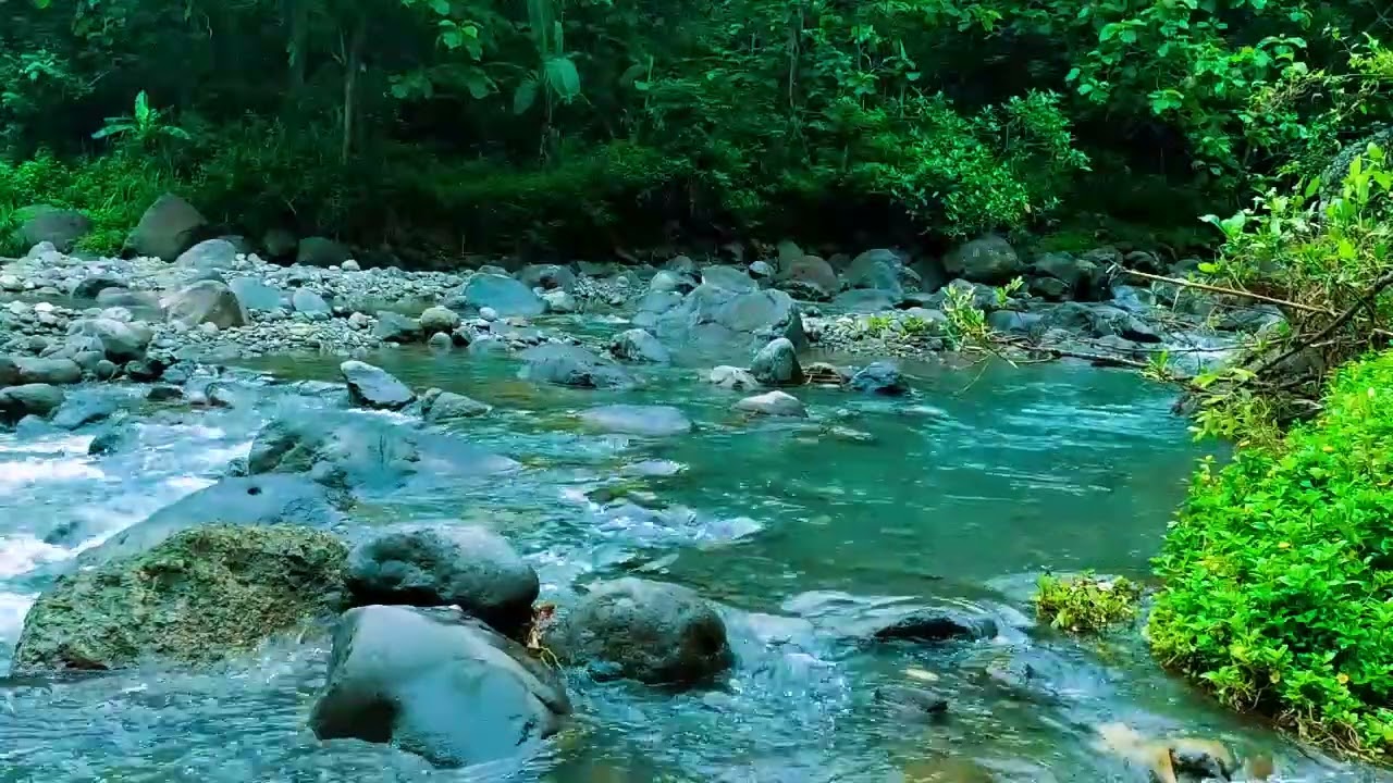 Beautiful Relaxing Sounds - Stop Overthinking, Stress Relief Music, Sleep Music, Calming Sounds