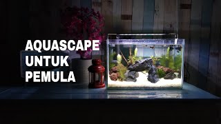 MEMBUAT AQUASCAPE SIMPLE UNTUK PEMULA DENGAN PASIR PUTIH | DIY SIMPLE AQUASCAPE FOR BEGINNER #46