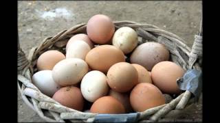 купить яйца деревенские(, 2016-02-24T13:34:47.000Z)