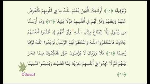 ۩ سورة النساء الوجه الثاني عشر