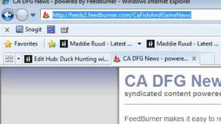 External RSS Feed For Hub Pages