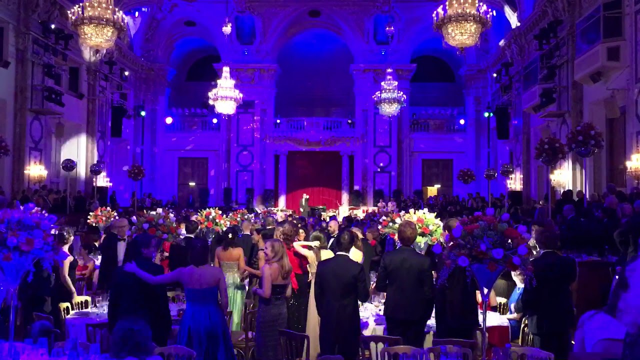 OECD Charity Ball, Vienna.  KSBC Business Club management among the invited. Part 3