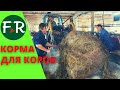 Чем кормят молочных коров в КФХ Овсянникова? Залог молока - вовремя скошенная трава.