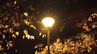 10-Minute Relaxing Rain Sounds for Stress Relief & Focus | Rainfall Rhythms |
