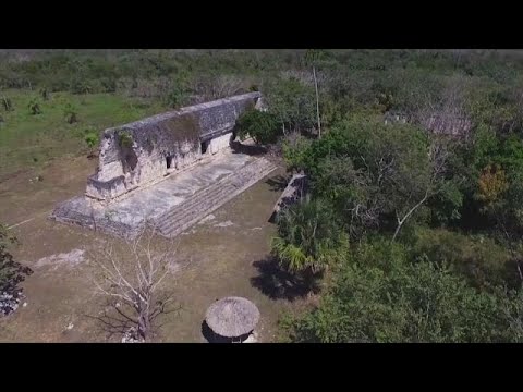 Video: Come è Stata Scoperta In Messico La Tomba Del Principe Maya