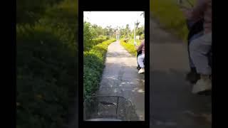 Nghề Làm Vườn Nông Nghiệp Xanh.