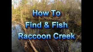 How To Find and Fish Raccoon Creek - Paulding County GA Trout!