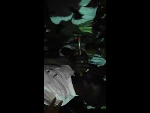 الفنان الواعد الجدي محمد الجدي 