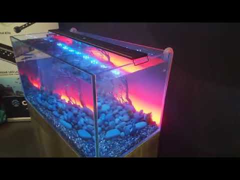 current aquarium lighting