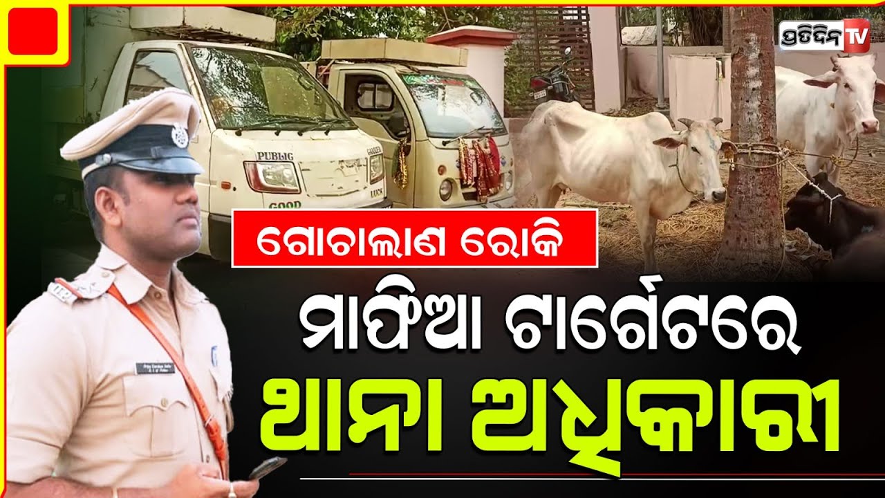 ଗୋଚାଲାଣ ରୋକି ମାଫିଆ ଟାର୍ଗେଟରେ ବୈଦେଶ୍ୱର ଥାନା ଅଧିକାରୀ ପ୍ରିୟଦର୍ଶନ ସେଠି! Banki, Baideswar cop gets threat