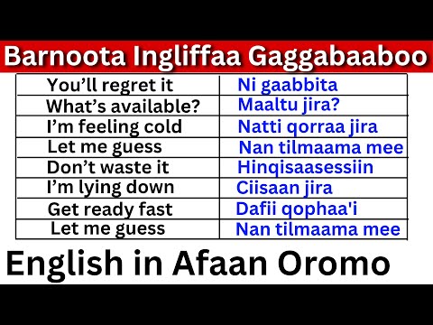 Barnoota Ingliffaa Gaggabaaboo Kutaa 10 Short English Expressions In Afaan Oromo Part 10