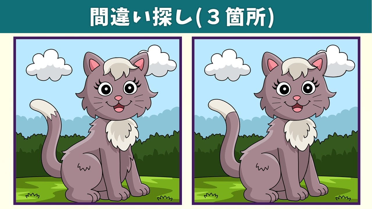 Найдите 3 отличия | Иллюстрация Версия #823