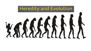Class 10Th Science Heredity And Evolution 5 Hd