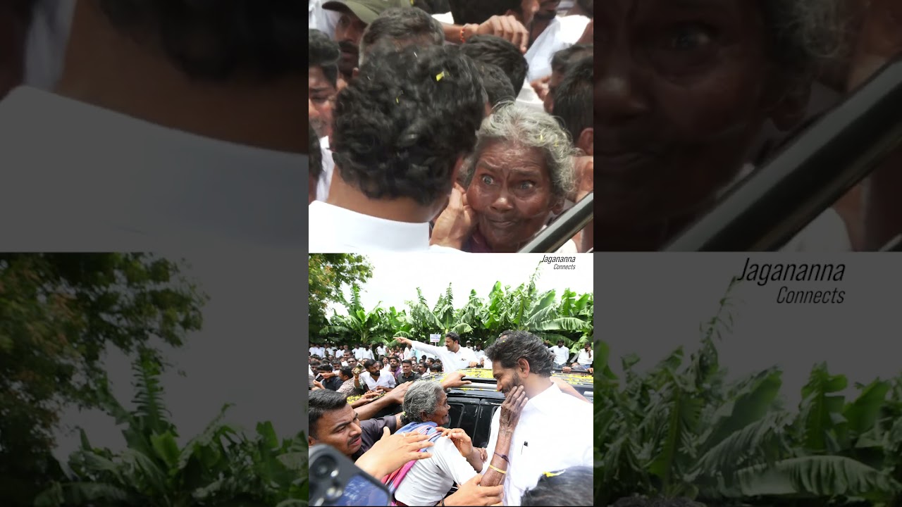 పులివెందుల పౌరుషం! 🔥