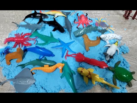 รีวิวของเล่นมาใหม่โมเดลสัตว์น้ำสัตว์ทะเล กุ้ง หอย ปู ปลา Review of new toys, marine animal models