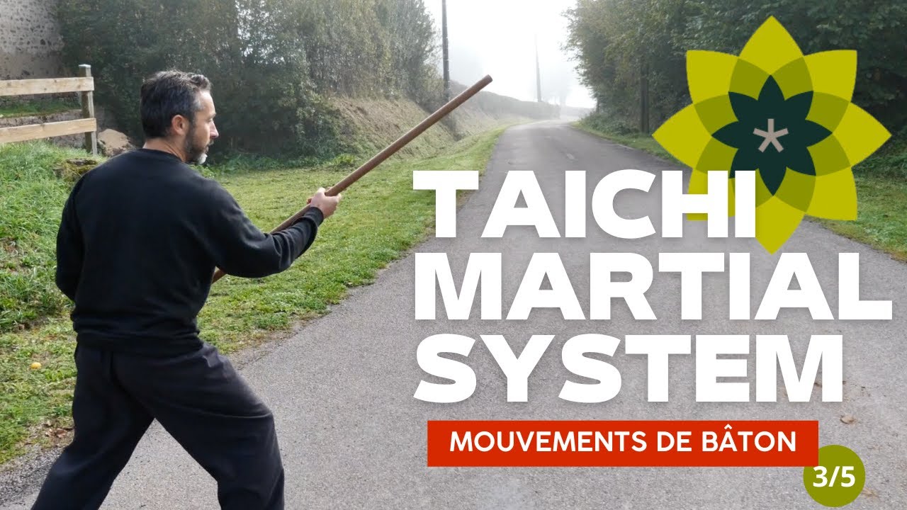 TAICHI MARTIAL SYSTEM Baton de Kungfu Entrainement 3 sur 5 / Esprit