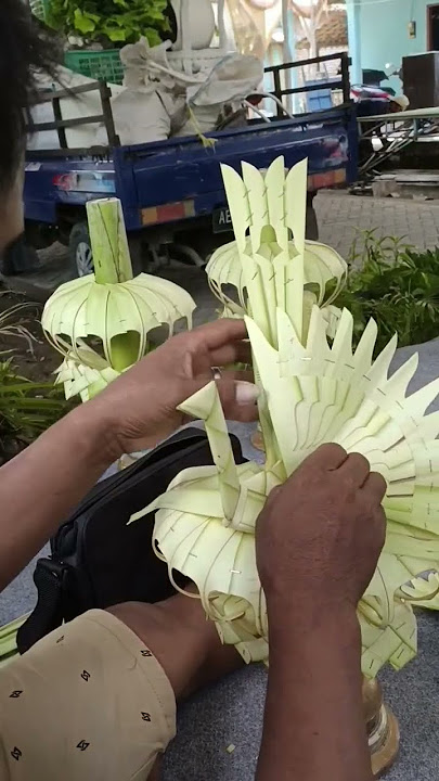 BURUNG KEMBAR MAYANG #shortvideo #burung