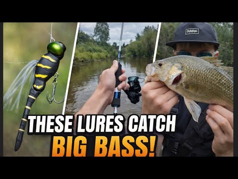 These lures catch big bass! Must Watch.