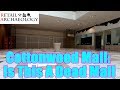 Cottonwood Mall: Is It A Dead Mall? | Retail Archaeology