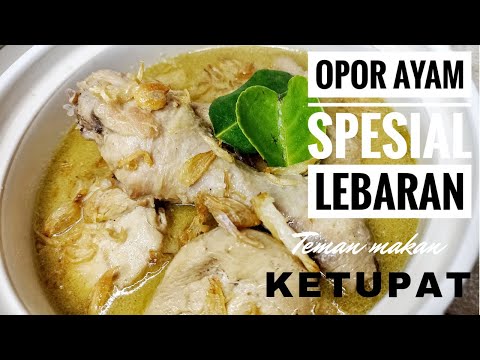 Masakan OPOR AYAM LEBARAN, Nikmat Disantap Bareng Keluarga | Lauk Pendamping Ketupat | yasha faujia | #14 Yang Enak Dimakan