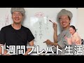 【実写】1週間プレバト生活をしたらチンパンジーが様々な才能を見せつけ殿堂入りした