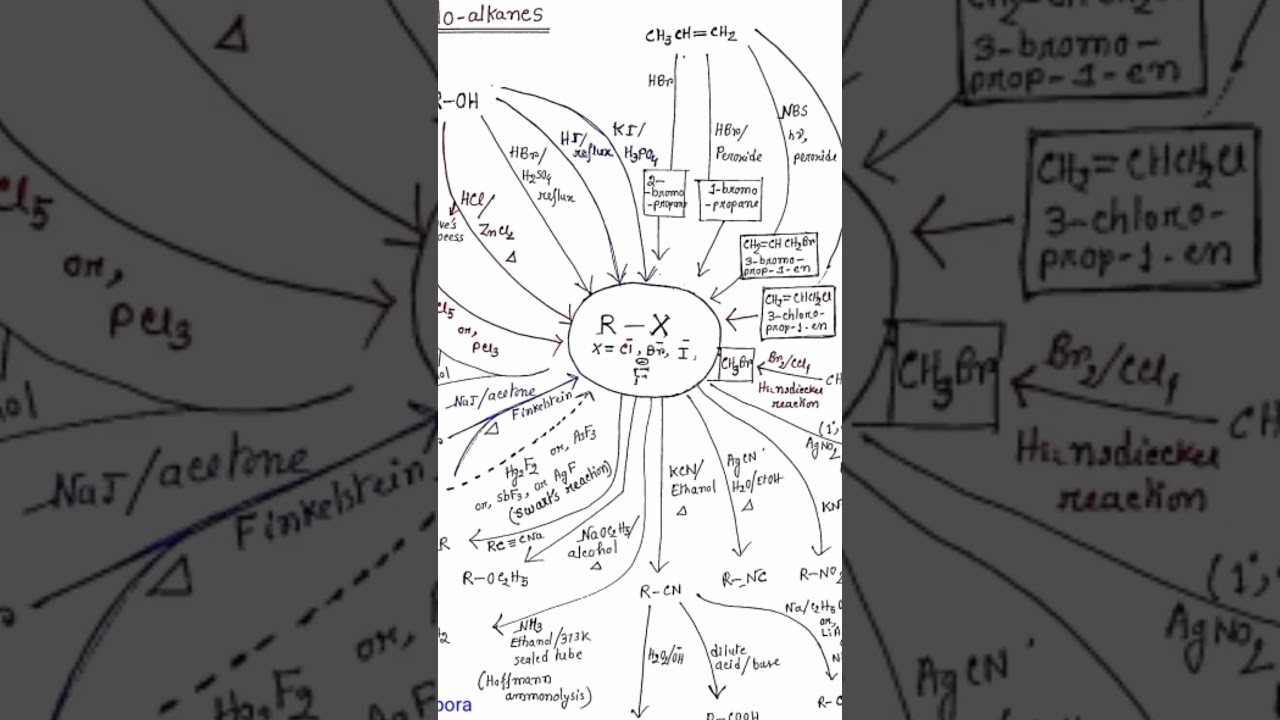 Hand-written Short Note On Preparation And Reactions Of Halo-alkanes || Amarendra Ghosh 