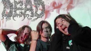 Dead - Highest Power (GG Allin cover)