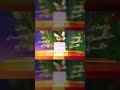 A Smoky Mountain Christmas #shorts