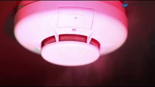 How Automatic Fire Sprinklers Works? #firesafety #fireextinguisher #industrialsafety #firefighting