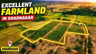 Surrounded by HMDA layouts | The best farm land in shad nagar