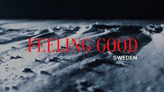 Feeling Good- Snow Drifting In Sweden