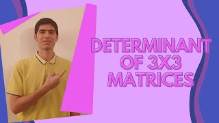 How To Find Out The Determinant of 3x3 Matrices - EASY !