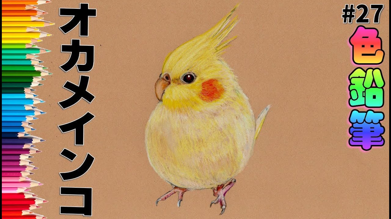 色鉛筆画・絵】オカメインコ 初心者でも簡単な描き方｜Beginner colored pencil cockatiel bird art27 -  YouTube