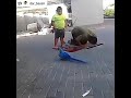 طفل خايف من الغباء مضحك جدا جدا 