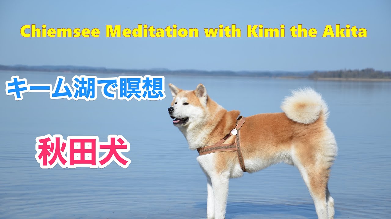 什么是德国 基姆湖 ٩ ˊᗜˋ و Vtourmap