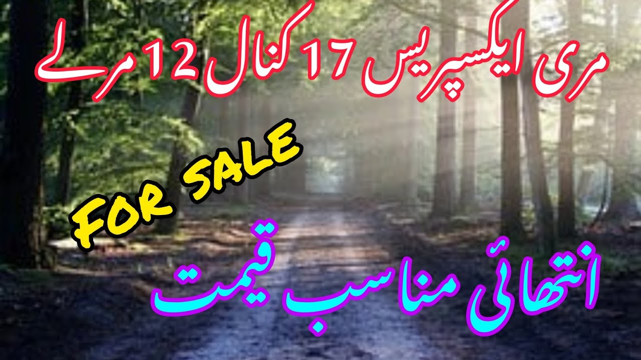 Cheep Price Land For Sale Murree Express Way. YouTube