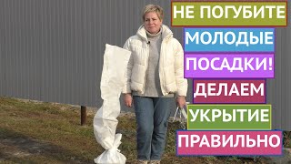 САЖЕНЦЫ МОГУТ НЕ ПЕРЕЗИМОВАТЬ, ЕСЛИ УКРЫТЬ ИХ ПЛОХО!