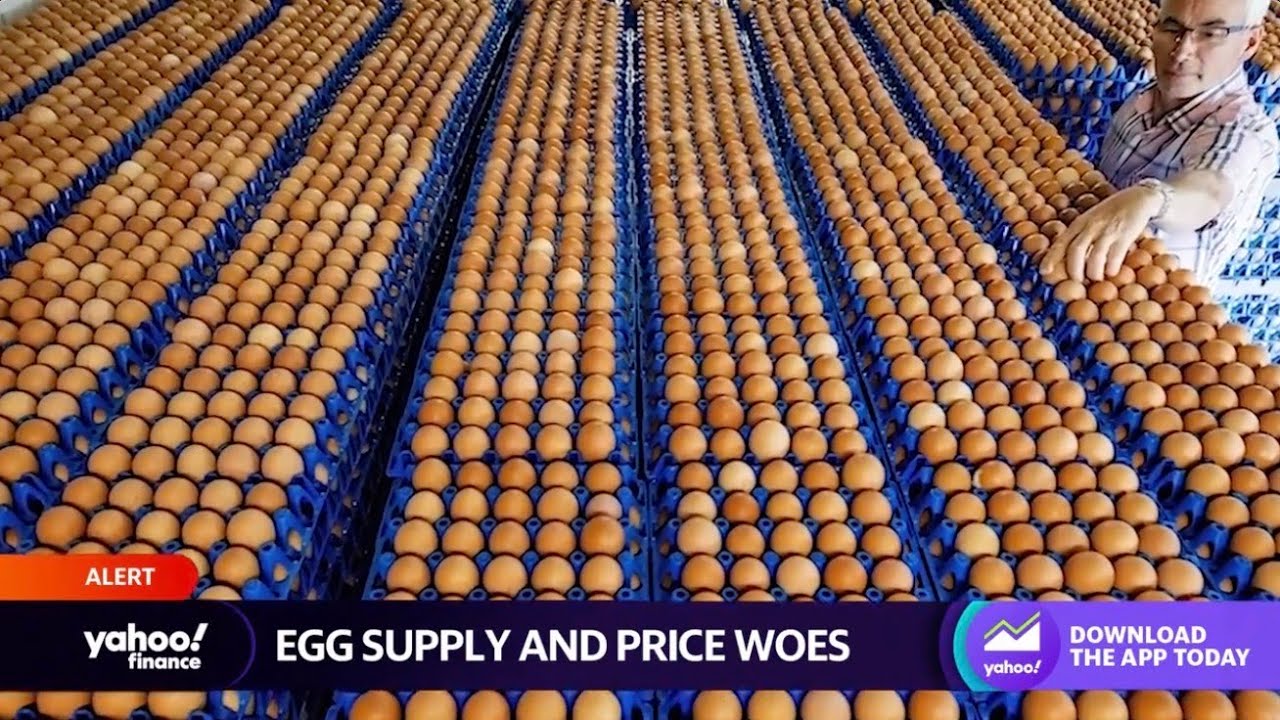 Egg prices increased 59.9% over last year amid avian flu outbreak - YouTube