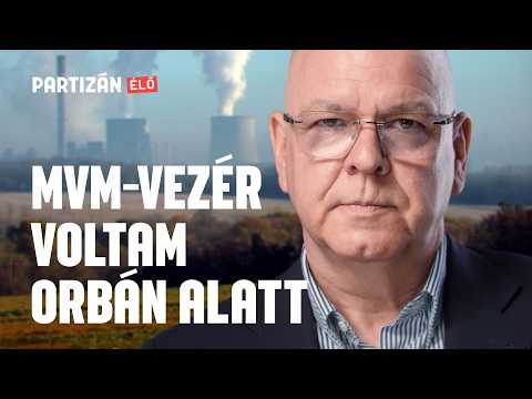 Mátrai Erőmű-botrány, CÖF-támogatás, MET-sztori: mit látott Csiba Péter?