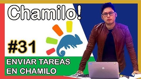 🏅 31 Cómo Enviar Tareas en el Aula Virtual Chamilo 🧏‍♂️ 【 Aulas Virtual ✚ Chamilo 】