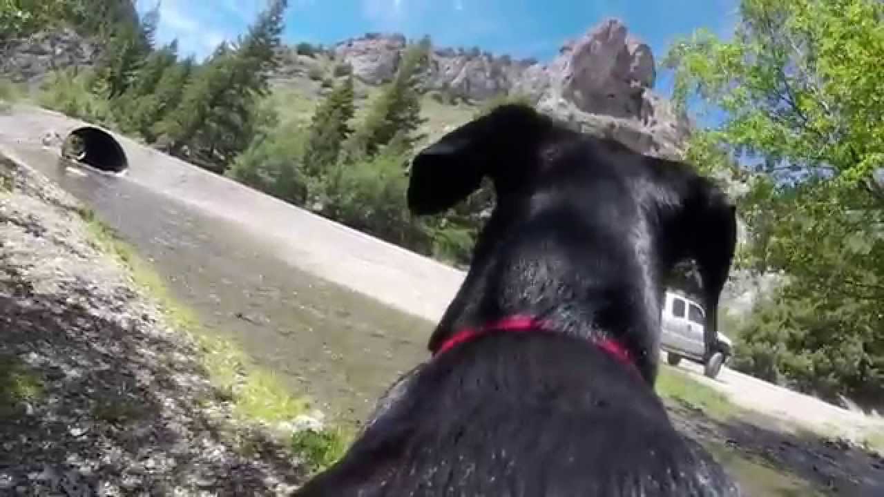 Banditcam mountain exploring at Wolverine Canyon Idaho YouTube