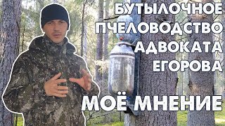 Жжжжбан Адвоката Егорова I Бутылочное пчеловодство I Моё мнение