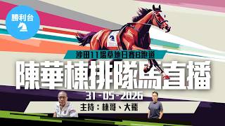 《勝利台》陳華棟排隊馬直播 │ 2026年05月31日 │ 沙田11場日馬草地賽事B跑道 │ 主持：棟哥、大飛
