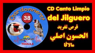 قرص خاص لتلقين الحسون بجودة عاليةCD Canto del Jilguero Limpio