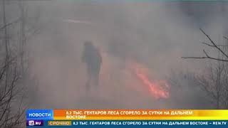 8,2 тысяч гектаров леса сгорело за сутки на Дальнем Востоке
