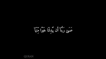 كرومات شاشه سوداء سورة القلم (٢٨ - ٣٣) ياسر الدوسري {4}