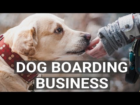 start-it-up-|-how-to-start-a-dog-boarding-centre-|-entrepreneur-india