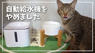 猫用の自動給水機の使用をやめました！その理由は…